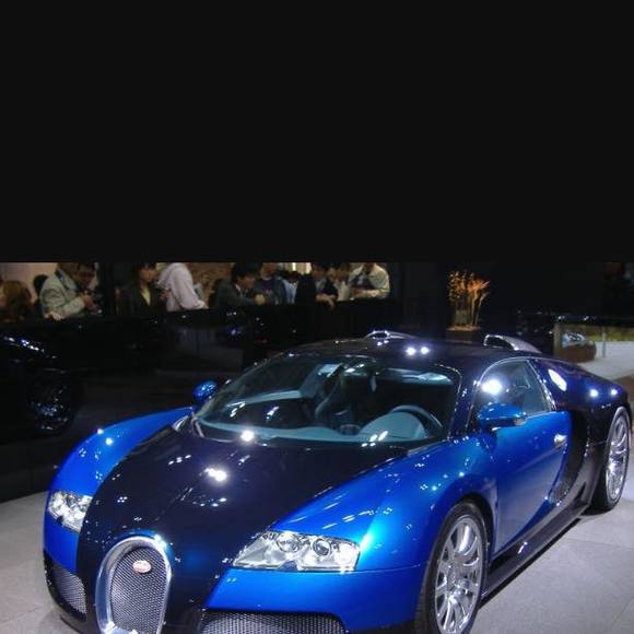 Meet your Posher, Patrick - Picture 1 of 1